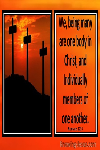 Romans 12:5 We Being Many Are One Body In Christ (windows)01:13